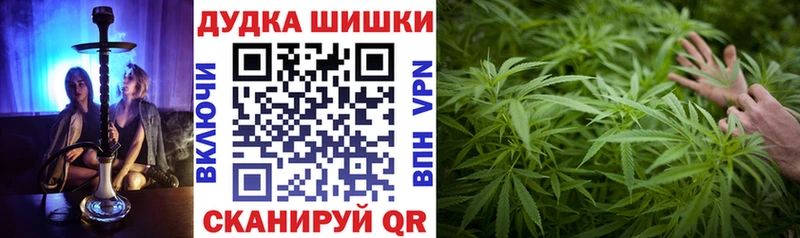 Шишки марихуана сатива  Тетюши 